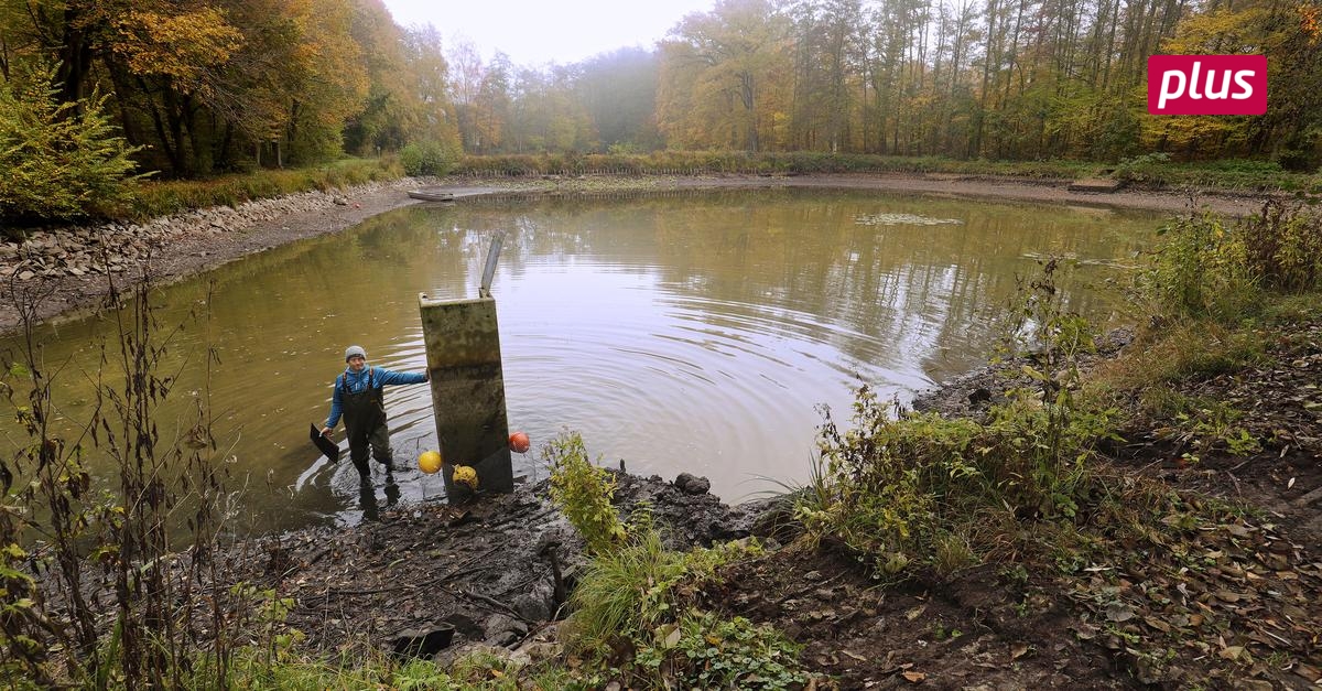 Neuer Ablauf für die Darmstädter Fischteiche